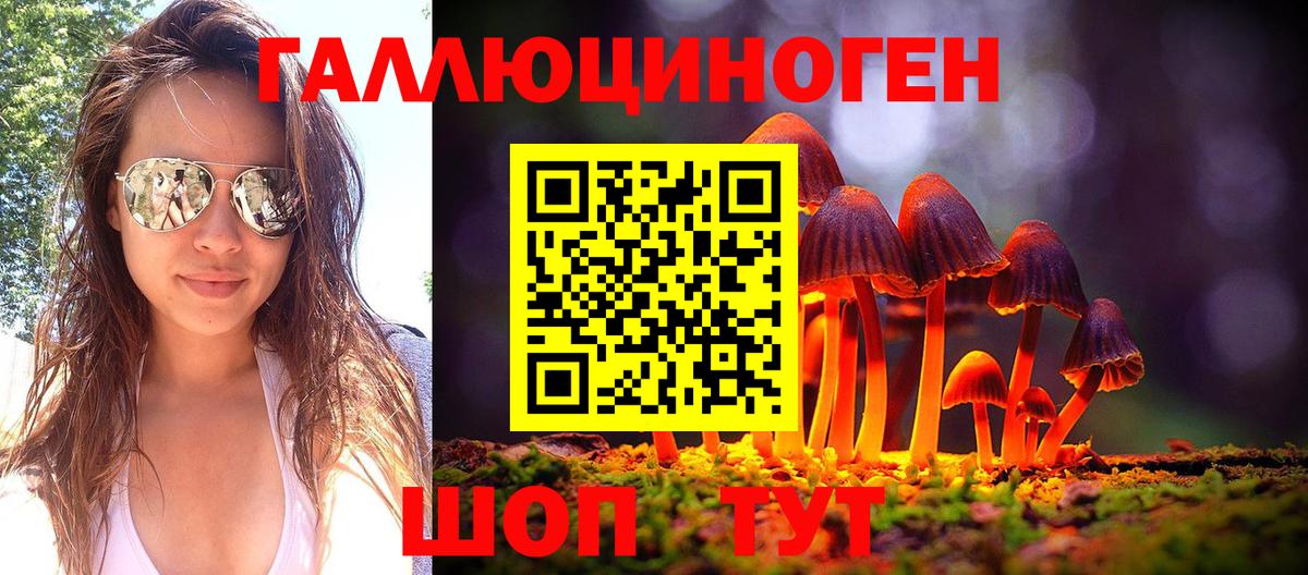 Галлюциногенные грибы Psilocybine cubensis Верхний Уфалей
